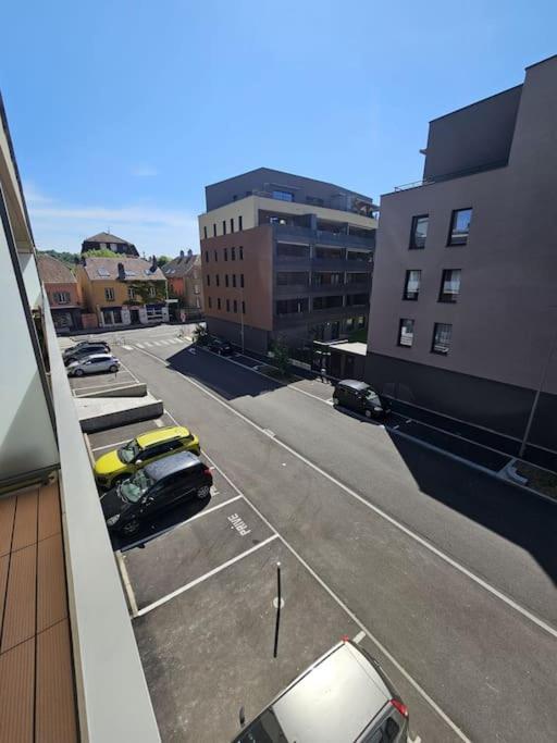 Le St Antoine - Centre - Parking Appartamento Belfort